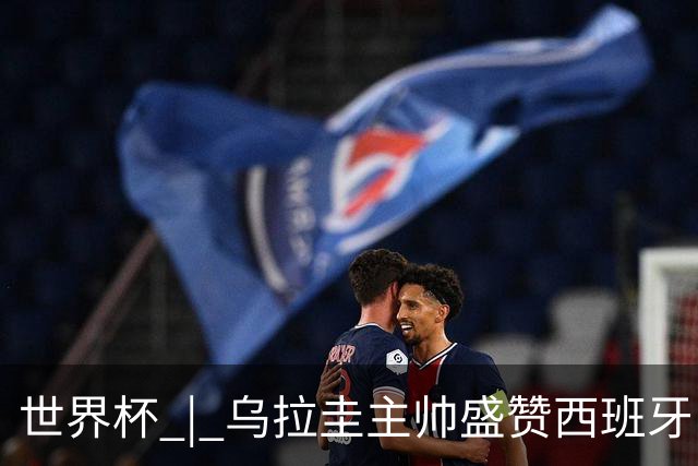 世界杯 | 乌拉圭主帅盛赞西班牙“精致足球”